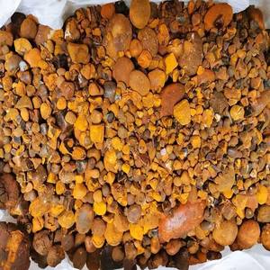 Proveedor a granel de cálculos biliares: Cálculos biliares de ganado, cálculos biliares de búfalo, cálculos biliares de vaca y buey. Alimento saludable con 3 años de vida útil. Disponible para exportación. - Product Image 1