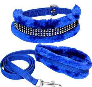 EW-collar acolchado para mascotas, accesorios para mascotas - Product Image 5