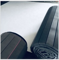 Tapis de Jiu-Jitsu BJJ en XPE, imperméable, portable, flexible, pour la gym, le grappling, le judo et la lutte