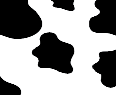 estampado de vaca