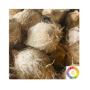 Noix de coco mature semi-décortiquée sucrée pour l'exportation chair blanche ferme d'eau de noix de coco de qualité supérieure idéale pour la cuisson des boissons et le traitement - Product Image 5