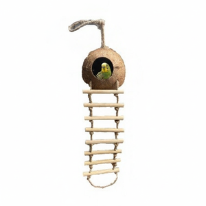 Handcrafted Coconut Shell Bird Nest with <b>Wooden</b> <b>Ladder</b> | Eco-Friendly Hanging Bird House for Parrots - Product Image 5