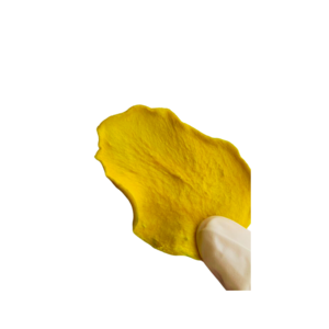 Prêt à expédier depuis le Vietnam échantillon gratuit de mangue séchée douce naturellement sucrée 3-5% sucre emballé sous vide en vrac - Product Image 2