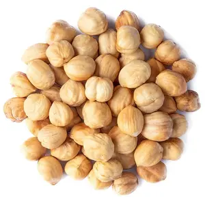 Best Kernels Hazelnut Filbert Nut Wholesale Raw Hazelnut Kernels