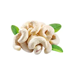 Heißer Verkauf Cashew nuss w320 Preis Kaju w320 Cashew-Einzel gewürze rohe Cashewnüsse gesunde Snacks Bio geröstete Nüsse