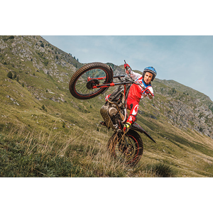 BETAA Evo 300 2024 de 4 Tiempos - Product Image 3