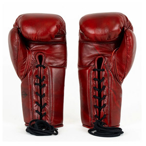 Gants de boxe conçus pour l'entraînement quotidien et le développement des compétences, avec une coque extérieure durable et un rembourrage pour le contrôle des impacts - Product Image 2