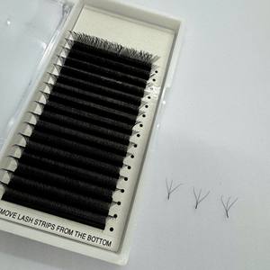 Extensions de cils de haute qualité C/CC/D/DD/M/L Curl 0,07 d'épaisseur 8-25 mm de longueur W Plateaux de cils 12/16 lignes Marque privée - Product Image 2