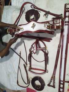 Juego de arnés de equitación de nailon ecuestre de calidad superior a precio asequible - Product Image 4