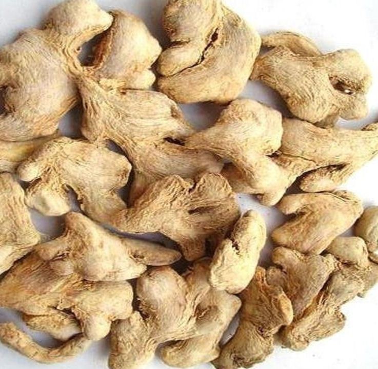High Quality Organic Dry Ginger Professional Export Fresh Clean Ginger