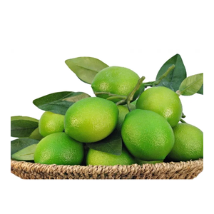 ความเป็นเลิศจากเวียดนาม: มะนาวสดออร์แกนิกชั้นยอดเปี่ยมไปด้วยรสชาติ - Product Image 6