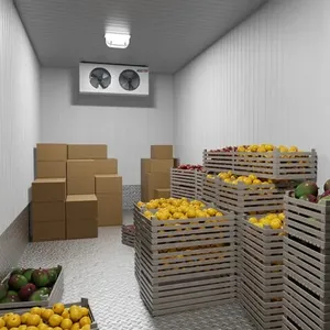 Customized Best Price Fully Automatic Walk in Cool Warehouse/Cold Storage Room for Onion/Potato/Tomato Made From India