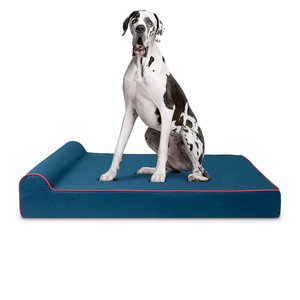 Cama para perro, reposacabezas ortopédico, espuma viscoelástica, alivio del dolor para la artritis, soporte, calmante, cubierta lavable impermeable - Product Image 1