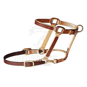 Cabestro de caballo personalizado, cabestro ecuestre personalizado para marca Halter, fabricación de Pakistán - Product Image 5