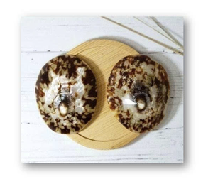 Conchas de Lapa decorativas para regalos hechos a mano y proyectos de colección de arte - Product Image 1