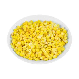 Maïs jaune de haute qualité pour l'alimentation animale Maïs jaune Prix par tonne de maïs jaune pour l'alimentation animale Maïs jaune séché de qualité 2