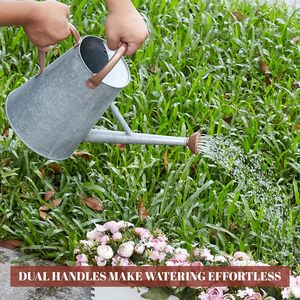 L'art de l'arrosage: De belles canettes pour chaque flux de jardin avec facilité: arrosage sans effort pour vos plantes - Product Image 6