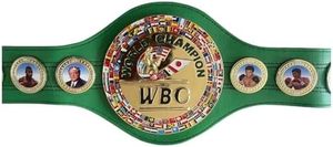 Vente en gros de ceinture de championnat WWE Mma jouet ceinture en or personnalisable boucle en métal de luxe matériau Pvc réglable lutte Ronpex - Product Image 2