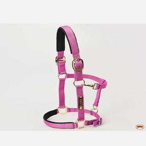 Sangle en nylon extra confortable de qualité supérieure licou de cheval en nylon coloré léger avec matériel en laiton en acier inoxydable - Product Image 3