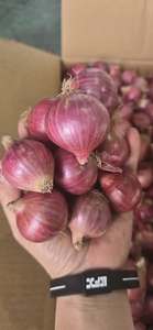 หอมแดงสีม่วงแช่แข็ง Iqf พรีเมี่ยมของเวียดนาม | รักษากลิ่นหอมตามธรรมชาติ | ส่งออกและขายส่งจำนวนมาก - Product Image 2