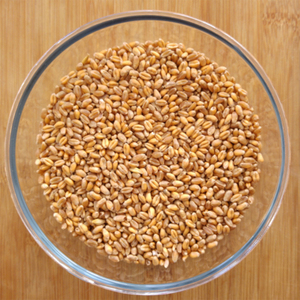 Cebada Descascarillada Orgánica de Alta Calidad para Elaboración de Cerveza, Alimentación Animal y Consumo Humano, Contenido de Humedad <12%, 99% de Pureza - Product Image 1