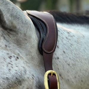 El Halter de cuero acolchado está hecho de cuero de búfalo suave y de alta calidad. La banda nasal forrada de pantorrilla y la corona anatómica ofrecen una oferta óptima - Product Image 6