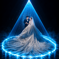 Projecteur laser de neige ILDA 10W pour mariage avec CRI 95 élevé et indice IP pour l'éclairage de scène DJ/disco/fête