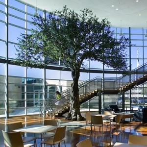 Hot bán lớn nhân tạo Cây Ô Liu thanh lịch cho UV kháng sinh thái thân thiện nhựa thực tế nhà máy trang trí nội thất trong nhà & Ngoài trời không gian - Product Image 2