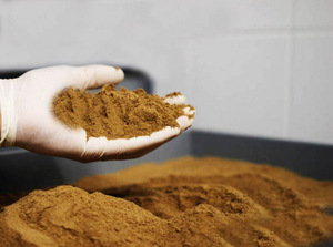SUPERVENTAS EXPORTACIÓN A GRANEL AL POR MAYOR HARINA DE PESCADO OFERTA CALIENTE FUENTE DE PROTEÍNAS DE CALIDAD PREMIUM PARA CERDOS DE AVES Y ACUICULTURA - Product Image 5