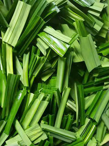HOJAS DE PANDAN SECAS NATURALES DE VIETNAM-AROMA PURO DE VIETNAM - Product Image 4