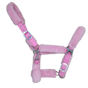 Haltères pour chevaux en néoprène et nylon durables, confortables et légers, en vente en ligne - Product Image 1