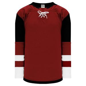 Jersey de hockey sobre hielo personalizado para hombre, ropa de hockey, ropa deportiva juvenil, camisetas y camisetas, impresión por sublimación digital, se aceptan diseños personalizados - Product Image 2