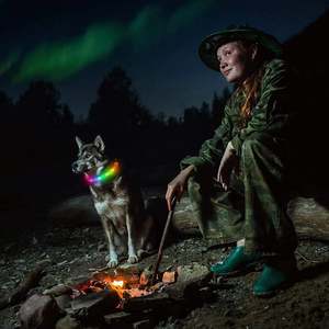 Luxurious & Elegant Rechargeable LED Silicone <b>Dog</b> <b>Collar</b> Customizable Personalized Pet Safety Feature for <b>Dog</b> Walking - Product Image 2