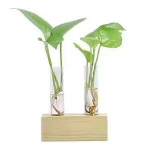 Vase en bois avec tube en verre, élégant pot à fleurs en tube à essai pour la décoration moderne de la maison, présentoir de fleurs de table et utilisation décorative intérieure - Product Image 3