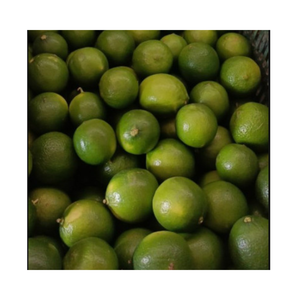 Vietnam Lime Export Qualité Mince Peel Haut Rendement De Jus Propre Et Naturel Emballé Par Demande Du Client Pour Le Marché International - Product Image 1