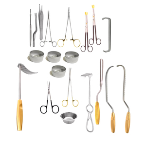 Instrumentos de timpanoplastia 58 piezas Set Micro Cirugía de oído Ent Instrumentos ortopédicos Fuente Instrumentos de metal - Product Image 3