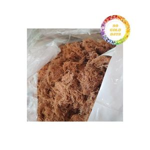 Algues Eucheuma pour le marché d'exportation avec faible teneur en humidité et contrôle des impuretés de fermes côtières durables - Product Image 2