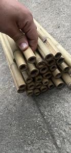 Fabricante de Estacas de Bambú para Horticultura, Soporte para Plantas de Tamaño Personalizado - Product Image 6
