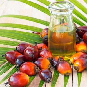 น้ำมันปาล์มคุณภาพสูงสำหรับทำอาหาร ทอดอาหาร ขายส่ง น้ำมันปาล์มสำหรับส่งออก - Product Image 6