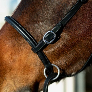 Horze Bitless Brida de cuero genuino de alta calidad Brida de caballo de cuero genuino Brida de caballo de cuero real de alta calidad - Product Image 2
