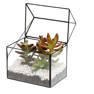 Excellent Quality <b>Glass</b> <b>Terrarium</b> for Best Selling For Living Room or Dining Room Decoration Item <b>Glass</b> <b>Terrarium</b> Usage Item - Product Image 5