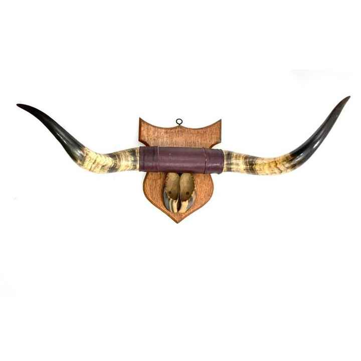 American heritage Classic Black Steer Horns from India Wide Decorative Bull Horns for Farmhouse Man Cave or Western Themed Decor