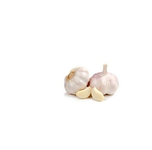 Ajo blanco fresco a la venta a precios asequibles Pedidos al por mayor y al por mayor disponibles Alta calidad garantizada - Product Image 3