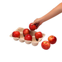 Vers Fruit Dienblad Verpakking Gegoten Bio Afbreekbaar Composteerbaar Pulp Lade Op Maat Voor Fruit Vriendelijke Fabrikant Beste Prijs