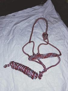 Mule Tape Halter Trenzado Caballo Cuerda de plomo y Halter Cowboy Australian Saddle Nylon - Product Image 5