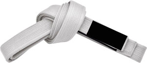 Servicio OEM de alta calidad BJJ Pearl Weave Belts Nuevo estilo Venta directa de fábrica Característica ligera Desgaste de artes marciales - Product Image 4