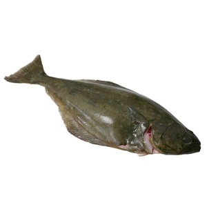 Halibut Congelado Fresco a Granel a Precio Económico, Mariscos en Venta al por Mayor con Entrega Rápida - Product Image 2