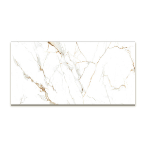 Nouvel ajout Carreaux de bonne qualité 600*1200mm Carreaux de porcelaine Carreaux classiques de haute qualité au tarif de gros - Product Image 1