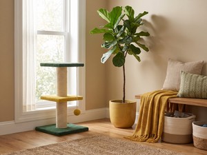 Arbre à chat en bois Amistar de haute qualité avec 2 plateformes à niveaux, écologique et durable, emballé en carton sécurisé pour chats et chatons - Product Image 5