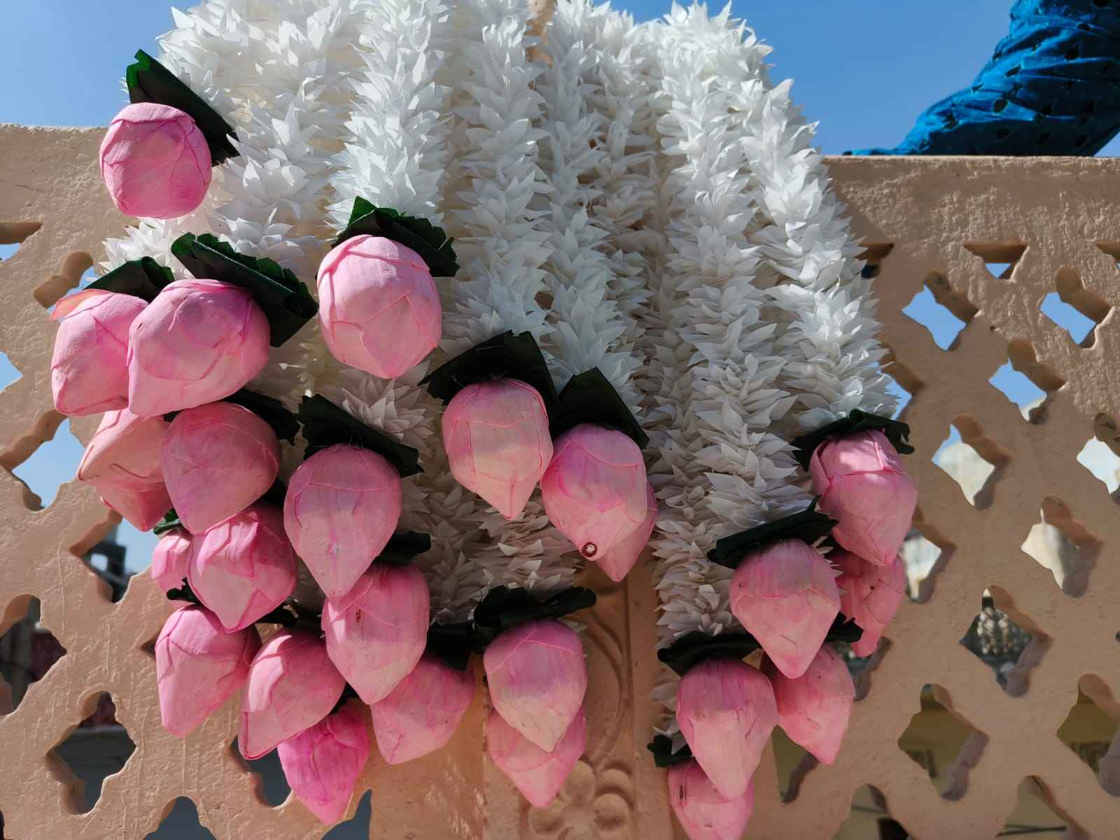 ทารกสีชมพู